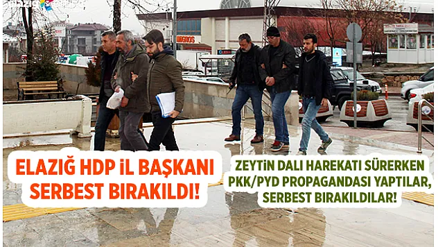 Sosyal Medyadan Örgüt Propagandası Yapan HDP İl Başkanı Serbest Bırakıldı!