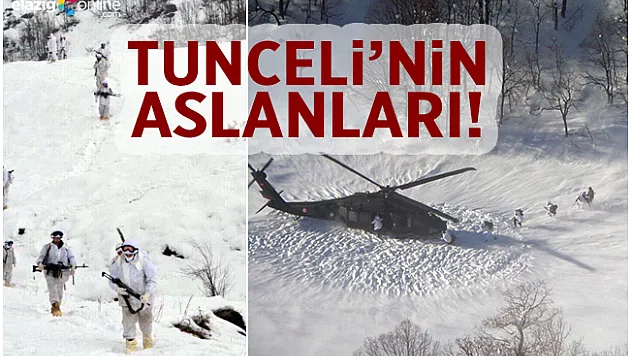 Tunceli teröristlerden temizlendi, 114 terörist etkisiz hale getirildi!