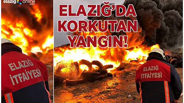 40 Tonluk Lastik Toplama Alanı Cayır Cayır Yandı!