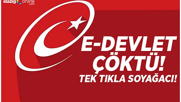 E-Devlet'in yeni uygulaması bugün başladı, sistem kilitlendi... Tek tıkla soyağacı!