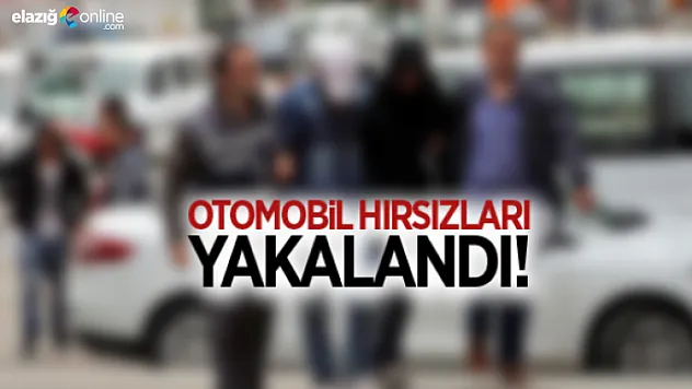 Elazığ'da 13 Ayrı Otomobilden Hırsızlık Yapmışlar!