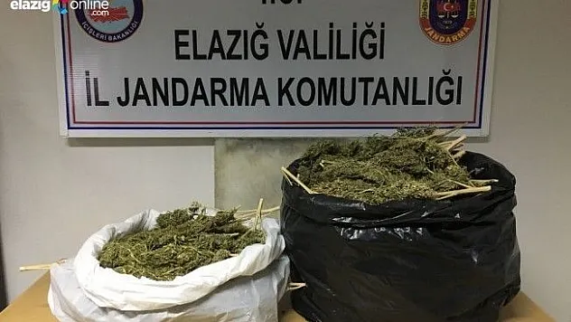 Elazığ'da 7 kilo esrarla yakalanan 3 şüpheli tutuklandı