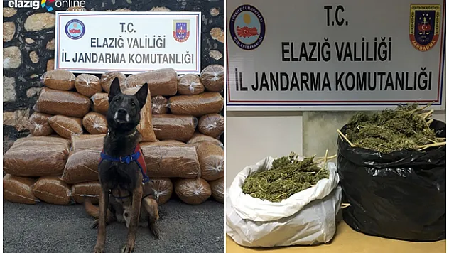 Elazığ'da Jandarma 546 kaçakçılık olayına müdahale etti