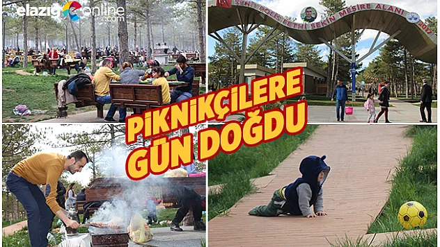 Elazığ'da Bahar Havası, Piknikçilere Yaradı