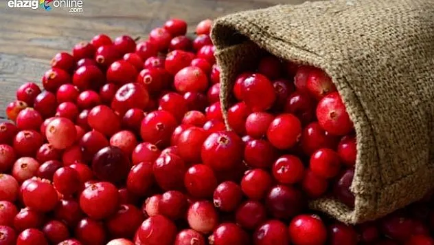 Kızılcık nedir? Kızılcığın faydaları nelerdir?