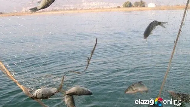 Su ürünleri av yasağı 1 Nisan'da başlıyor