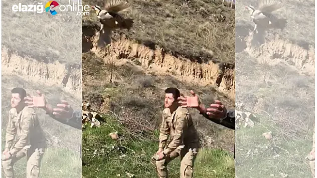 Yasak keklik avına büyük ceza!