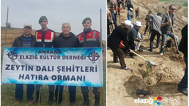 Ankara'daki Gakgolardan Şehitlerimiz İçin Hatıra Ormanı