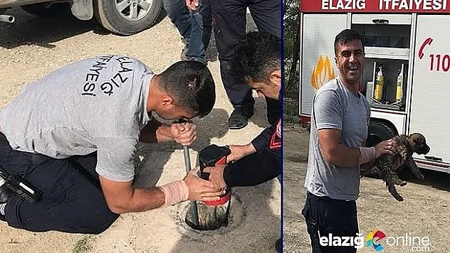 Çukura düşen yavru köpeği itfaiye kurtardı