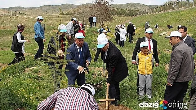 Elazığ'a Gard Ormanı