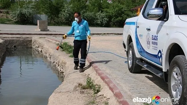 Elazığ'da Şehir Geneli İlaçlama Çalışmaları