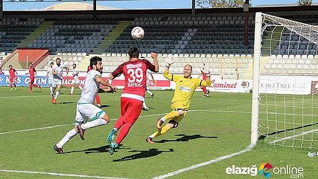Elaziz Belediyespor: 1 - Cizrespor: 2