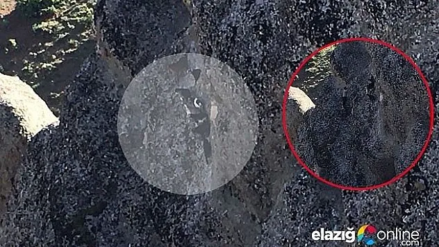 Keçilerin imdadına itfaiye yetişti