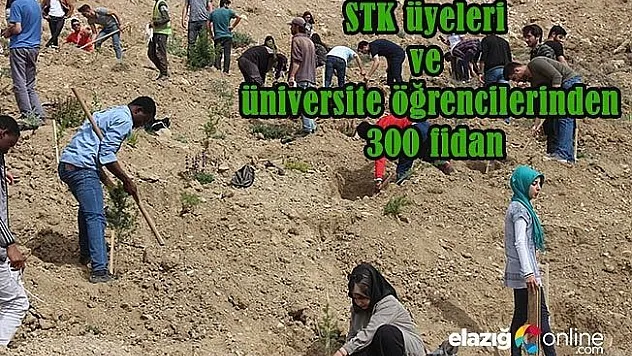 STK üyeleri, Cip'e fidan dikti