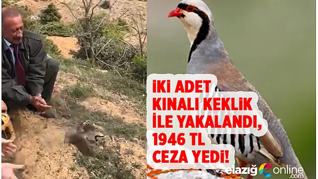 Yasak Keklik Avı Pahalıya Mal Oldu!