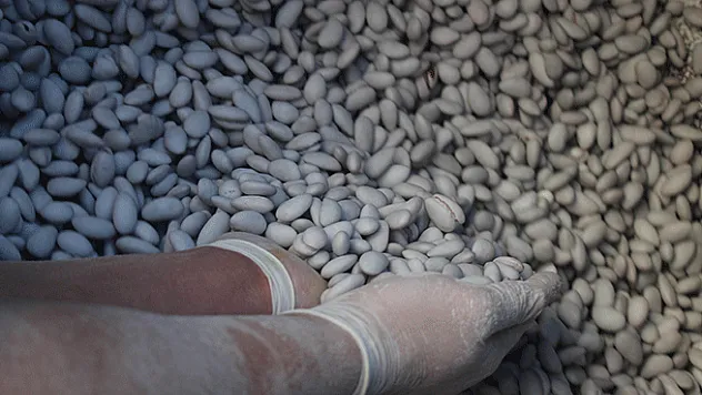 Badem şekerine talep 10 kat arttı