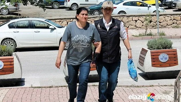 Elazığ'da PKK/KCK operasyonu!