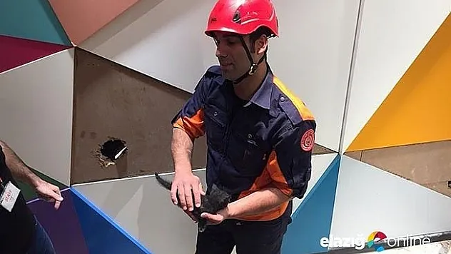 Havalandırma boşluğundaki yavru kedi kurtarıldı