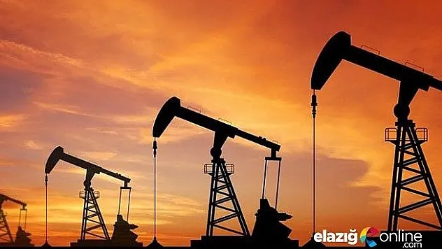 İki ilimizde daha petrol bulundu