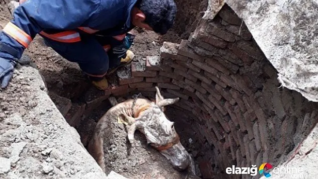 İneğin İmdadına Elazığ İtfaiyesi Yetişti!