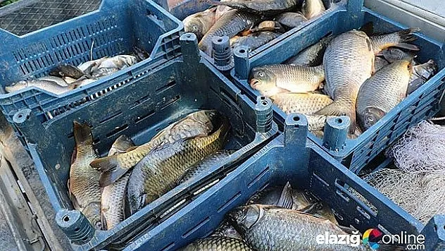 Kaçak avlanan 300 kilo balık ele geçirildi