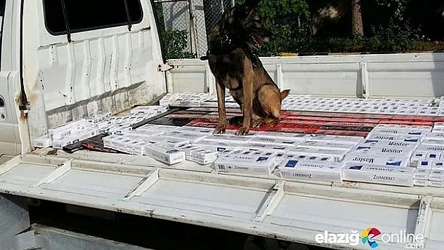 Kamyonetin zulasında kaçak sigara ele geçirildi