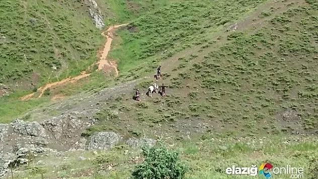 Mahsur kalan ineği itfaiye ekipleri kurtardı