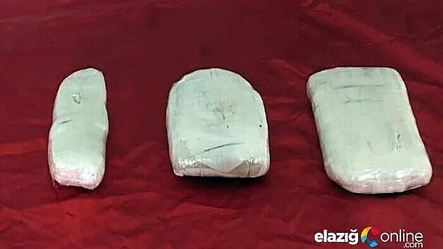 Narkotik köpeği 'Badi' iş başında