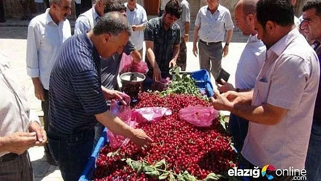 Yılın ilk yerli kirazları, tüketiciye sunuldu