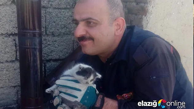 Bacaya sıkışan kedi kurtarıldı