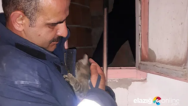 Havalandırma boşluğuna düşen kedi kurtarıldı