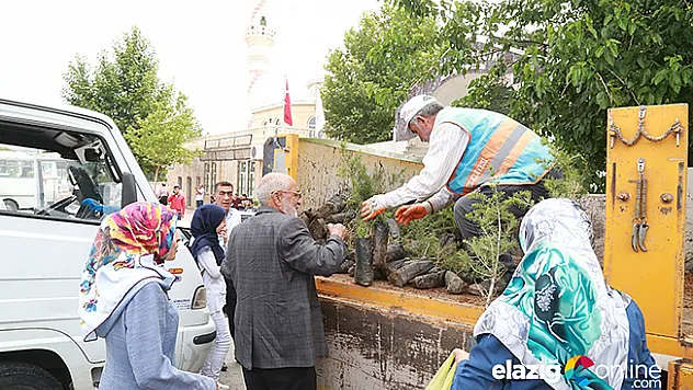 Mezarlıklarda 12 bin 500 fidan dağıtıldı