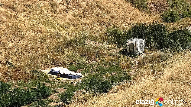 150 kök kenevir ele geçirildi