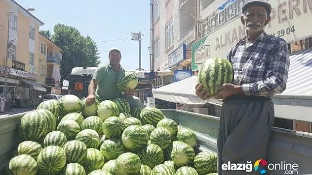 Çemişgezek karpuzu tezgahlarda yer buluyor