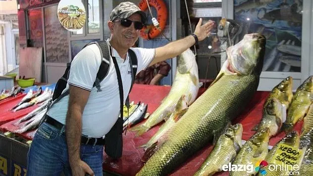 Elazığ'da sezonun ilk dev turna balığı yakalandı