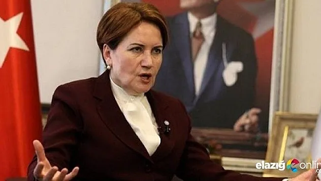 İYİ Parti Sallanıyor!