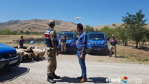 Jandarma, Kayboldan Koyunları Drone ile Buldu!