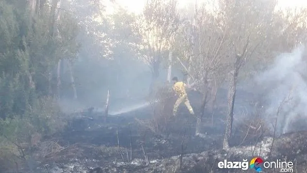 Keban'da Yangın, 150 dönüm arazi zarar gördü!
