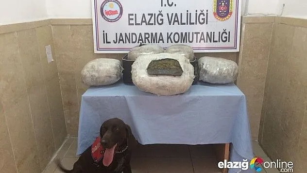Palu'da trende ki 26 kilo esrarı narkotik köpekleri buldu!