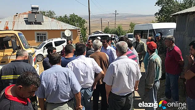 Yangında 9 büyükbaş hayvan telef oldu