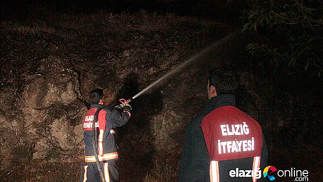 Harput'da atılan havai fişekler yangına neden oldu