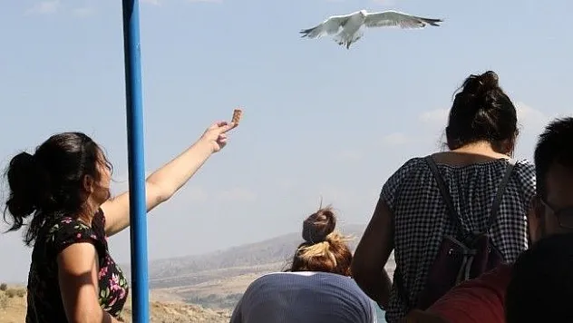 Keban Barajında martılarla yolculuk keyfi