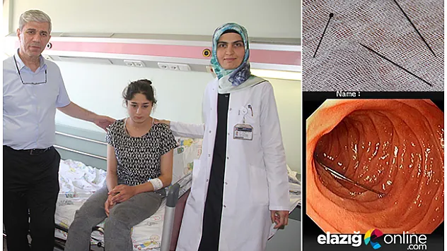 Kedi üzerine atlayınca 15 iğne yuttu!