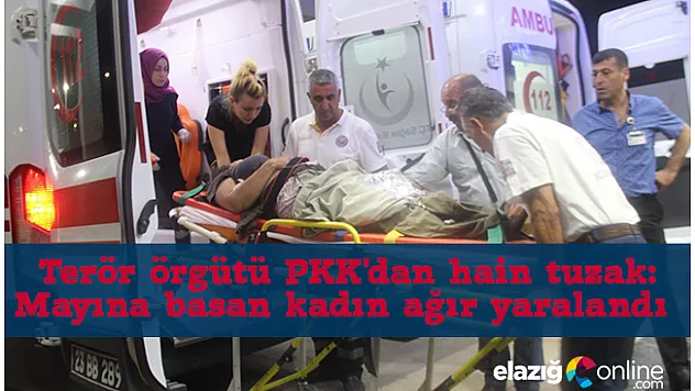 Nazımiye'de Mayına Basan Kadın Elazığ'a Sevkedildi