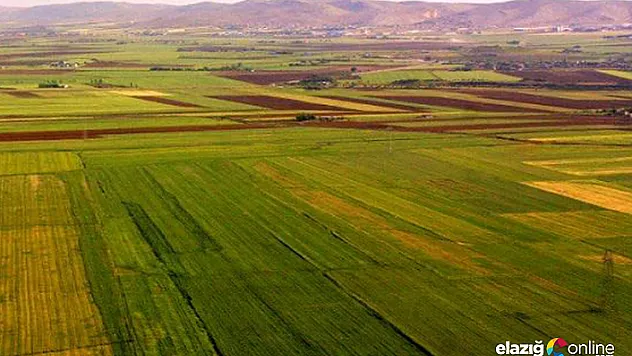 Açıklanır açıklanmaz 23 bin kişi başvurdu