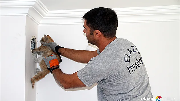 Bacaya düşen kedinin imdadına itfaiye yetişti