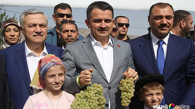 Bakan Pakdemirli'den mısır üreticilerine fiyat müjdesi