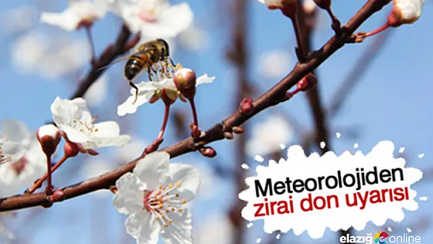 Elazığ için Zirai Don Uyarısı!