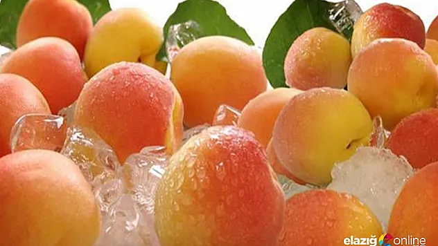 Komşu kayısının etinden,sütünden faydalanmaya devam ediyor