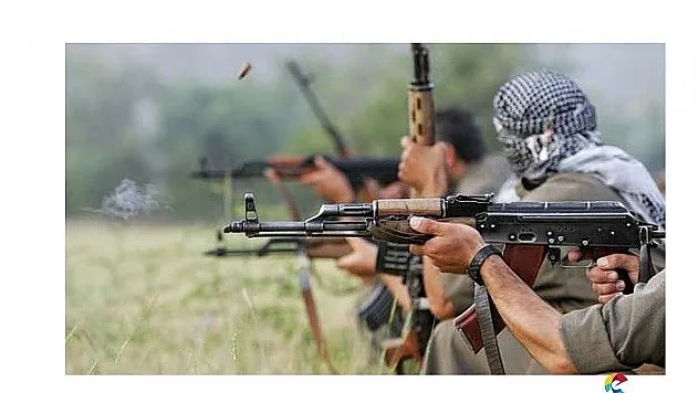 Terör örgütü çocukları piknik ya da şenlik diye kandırarak dağa kaçırıyor